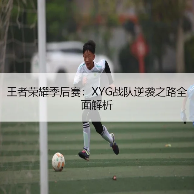 王者荣耀季后赛：XYG战队逆袭之路全面解析